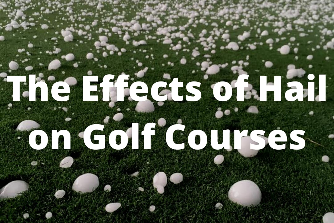 Hailstones scattered across a golf green, titled The Effects of Hail on Golf Courses.